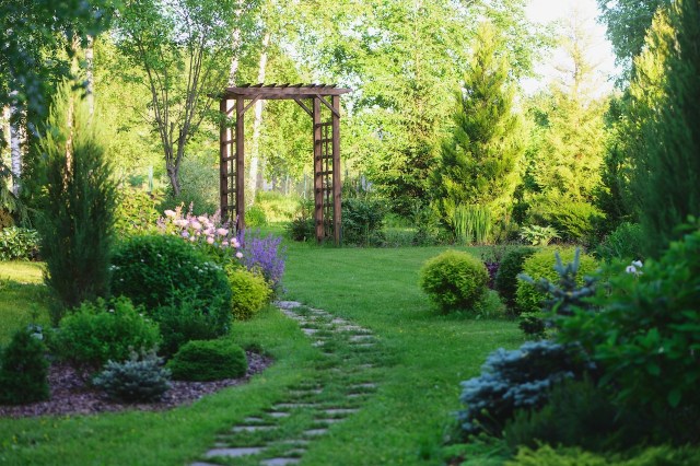 Common Mistakes in Sustainable Gardening and How to Avoid Them